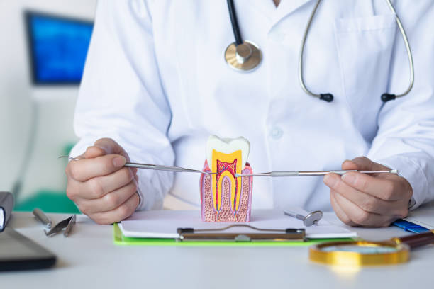 Best Weekend Emergency Dentist in Oconto, WI